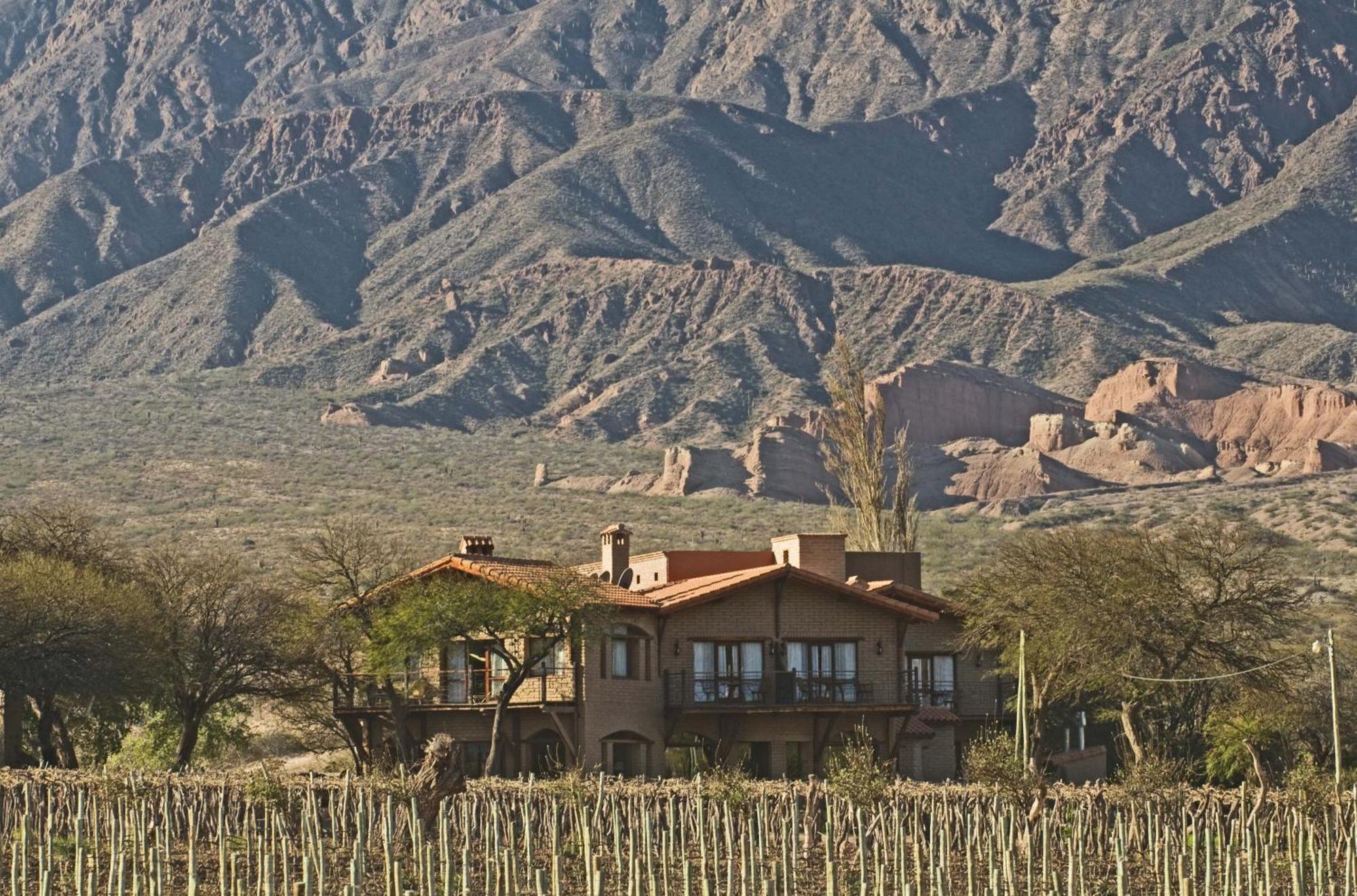 La Casa De La Bodega - Wine Boutique Hotel 카파야테 외부 사진