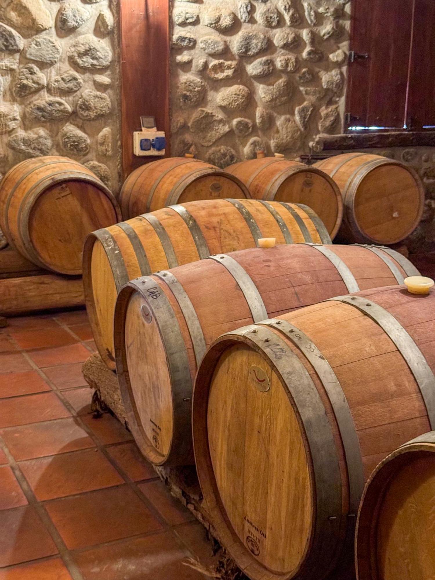 La Casa De La Bodega - Wine Boutique Hotel 카파야테 외부 사진