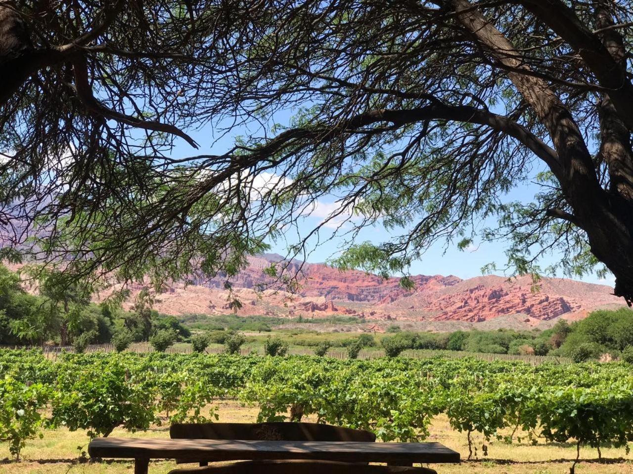 La Casa De La Bodega - Wine Boutique Hotel 카파야테 외부 사진